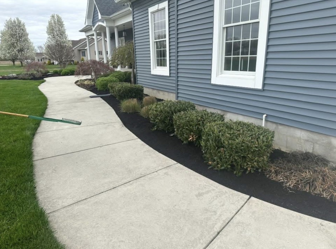 Curved concrete walkway bordered by a crisp black mulch bed and trimmed shrubs