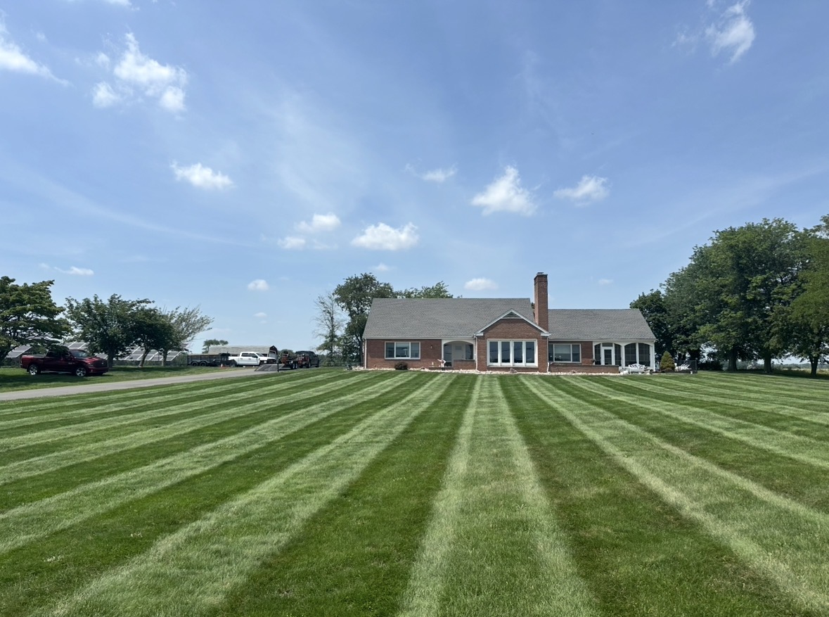 Wide striped lawn freshly mowed in front of a brick ranch home under a blue sky