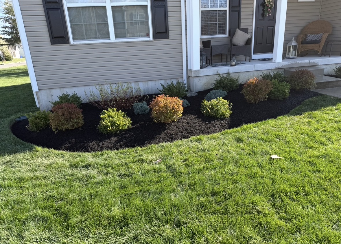 Newly mulched foundation bed with evenly spaced shrubs along a front porch