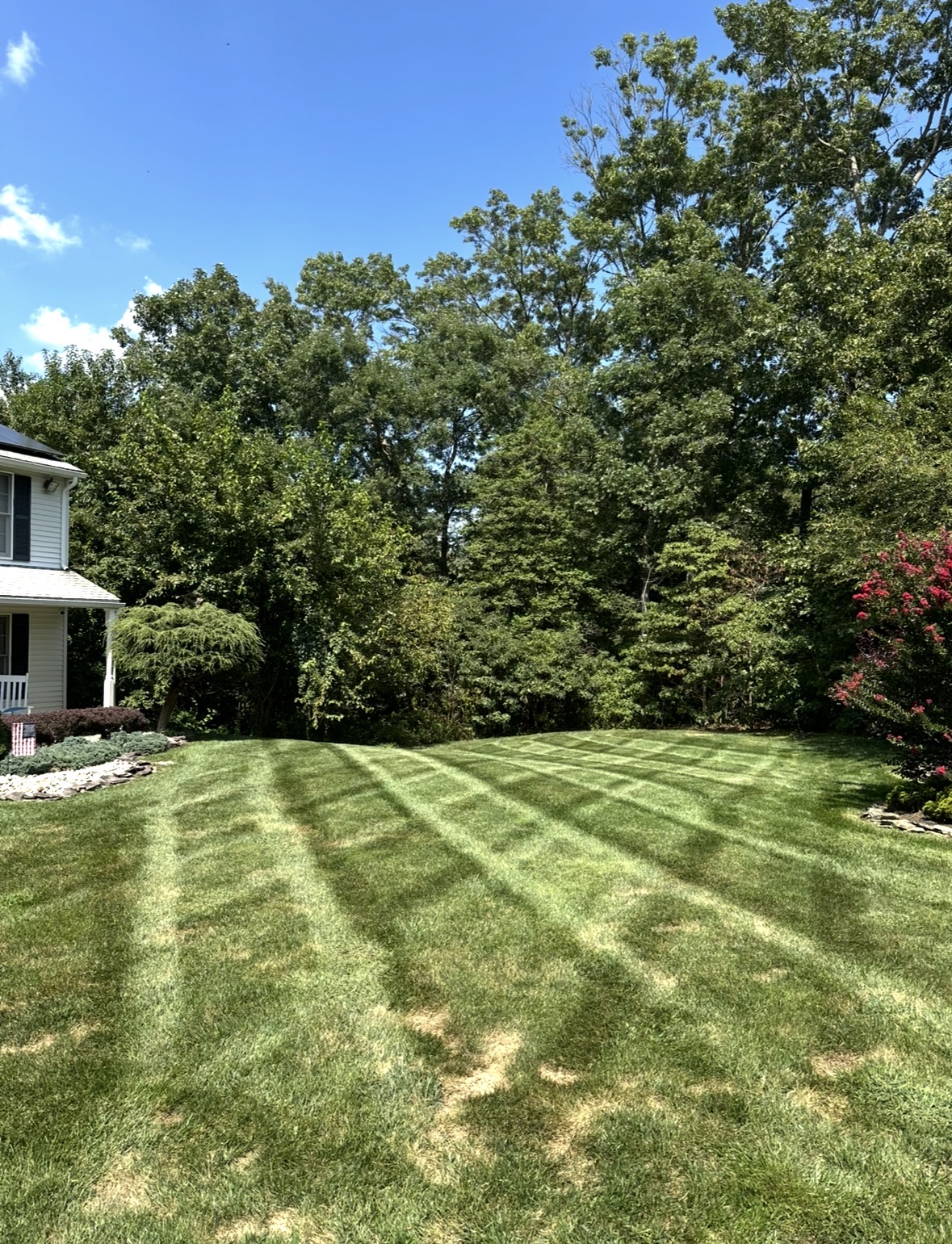 Cleared, freshly striped backyard lawn along a tree line with planted beds at the edge