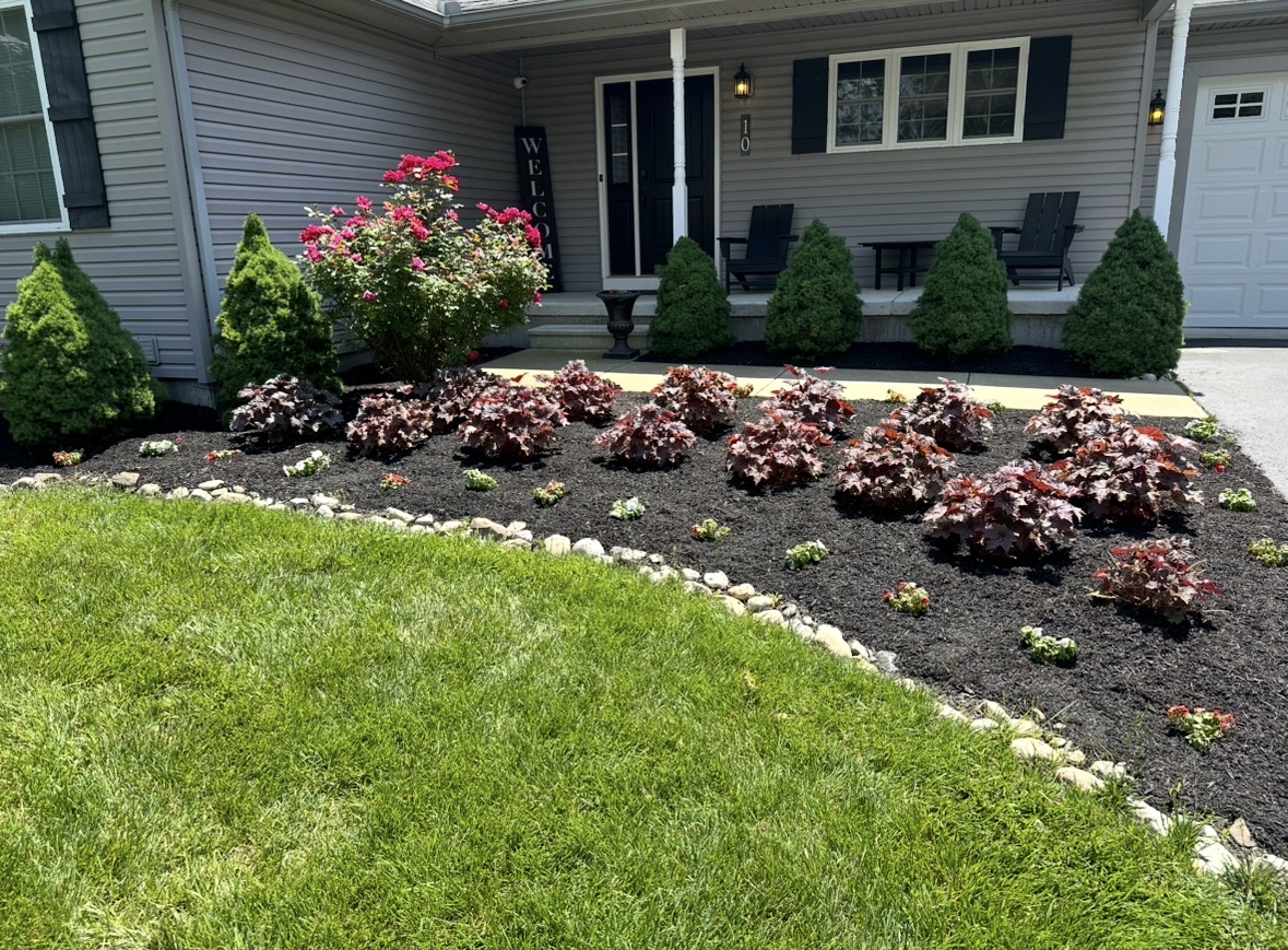 Mulch bed with river-rock stone border, coral bells and evergreens across a front yard